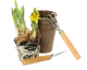 Zahrada