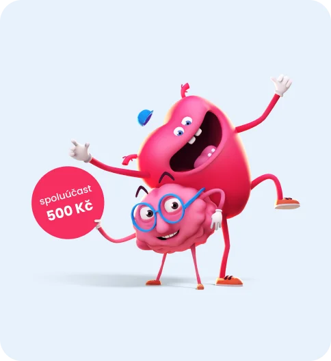 Oprava za pětistovku