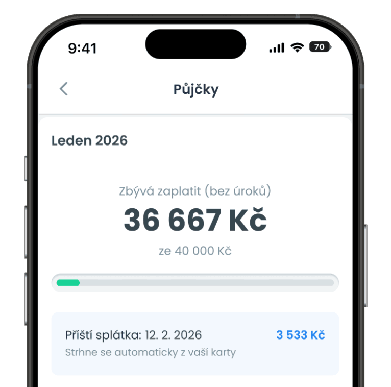 Splátky se pohlídají samy