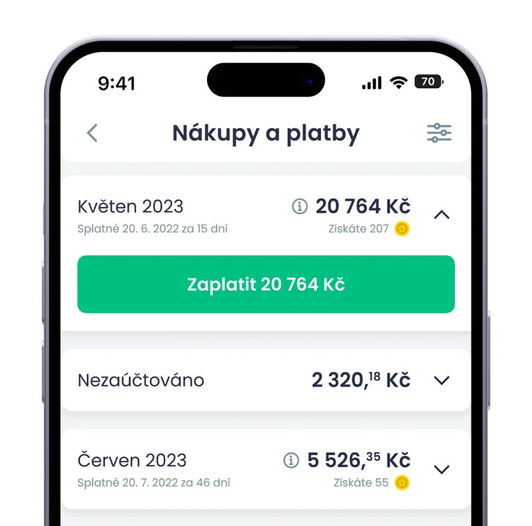 Platíte, kdy se vám hodí