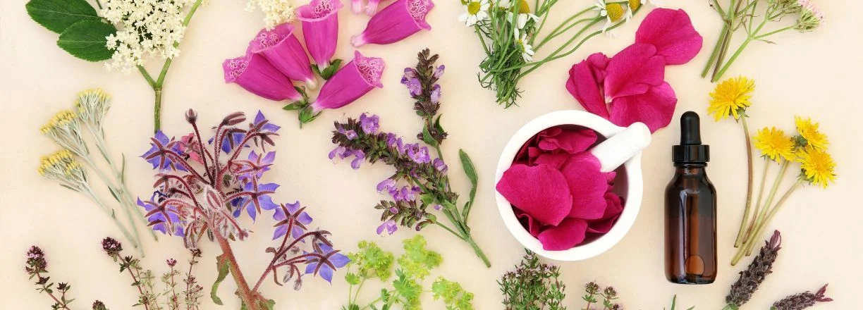 Naděje byliny slevy akce