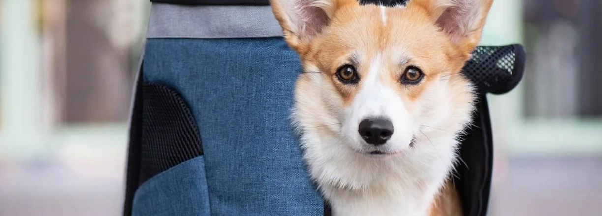 VšeProPejska slevy akce