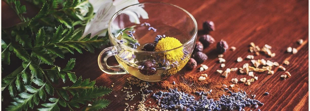 Čajová zahrada slevy akce