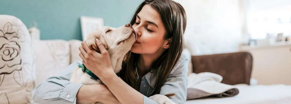 PetCenter slevy akce