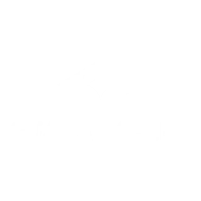 Guaranaplus